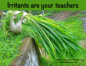 Irritants Are Your Teachers