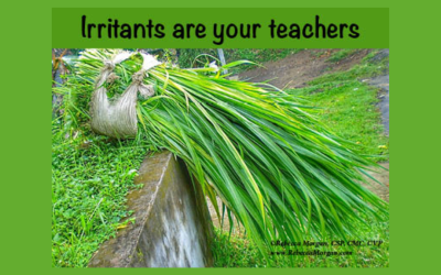 Irritants Are Your Teachers