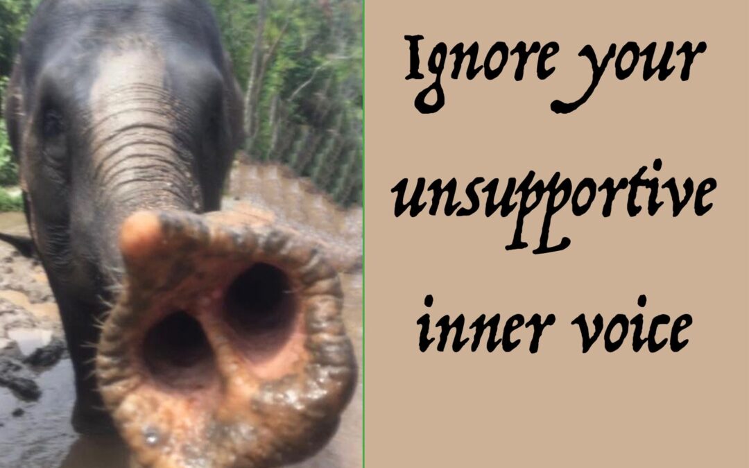 Ignore Your Unsupportive Inner Voice