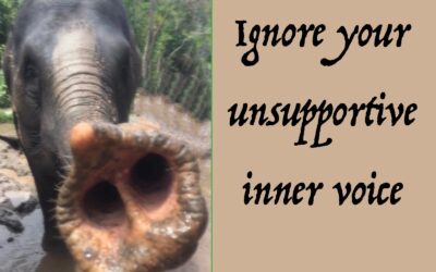 Ignore Your Unsupportive Inner Voice